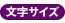 文字サイズ