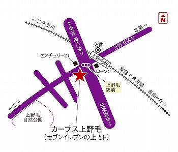 カーブス上野毛