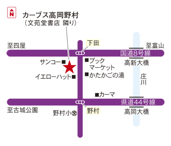 カーブス高岡野村