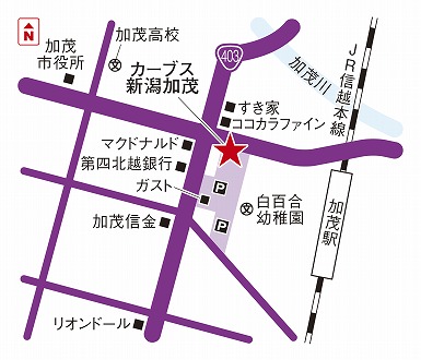 カーブス新潟加茂