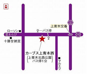 カーブス上青木西