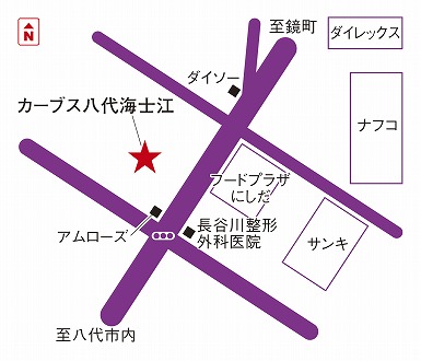 カーブス八代海士江