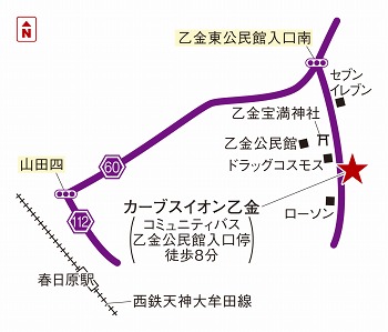 カーブスイオン乙金