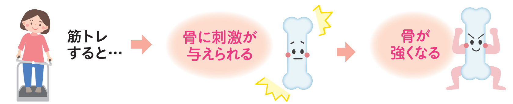 筋トレで骨に刺激を与える 骨は年齢とともに弱っていきます。それを防ぐには、筋肉を使う運動(筋トレ)が効果的です。筋トレをすると、骨に刺激が与えられて、骨が強くなるのです。