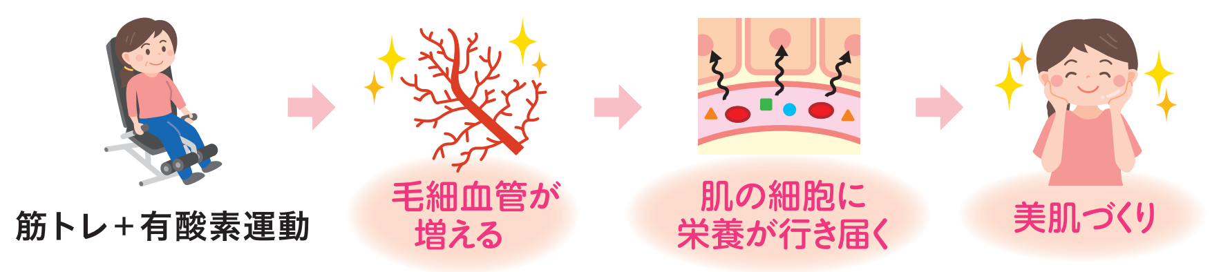 運動で美肌のための土台づくり 肌の老化は、加齢で毛細血管が減っていくことと関係しています。 毛細血管が減ると、せっかく摂った栄養も肌の細胞に行き届かず、それがしわやたるみの原因にもなるのです。