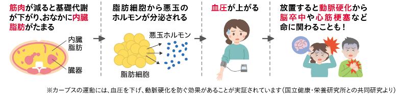 運動で血圧を下げる！ 血圧を上げる原因のひとつは、おなかにたまった内臓脂肪。これは、運動で燃やすことができます。