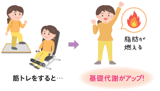 筋トレで効率的に脂肪を燃やす！ 年齢とともに太りやすくなるのは、基礎代謝が落ちるから。基礎代謝は筋肉の量が多いほど高くなります。