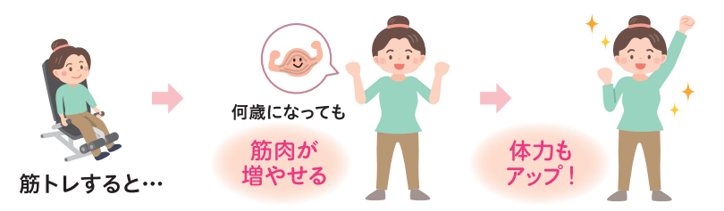 体力不足は、筋肉不足!? 筋肉には、体を動かす活力エネルギーをつくる役割があります。疲れやすいと感じる人こそ、筋トレをして筋肉を増やしましょう!