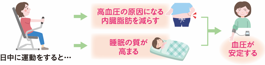 睡眠不足が高血圧を招く!? 運動不足が高血圧の原因になることは知られていますが、じつは睡眠不足も高血圧につながります。夜に眠れないと交感神経が高ぶったままになり、それが翌日の血圧に影響するのです。