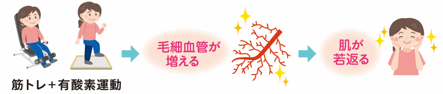 筋トレ+有酸素運動で肌も若返る! しわ・しみ・たるみ・くすみ…、肌の老化は、毛細血管の劣化と関係しています。 毛細血管が衰えると、肌の細胞に栄養や酸素が行き届かず、しみやたるみの原因になるのです。