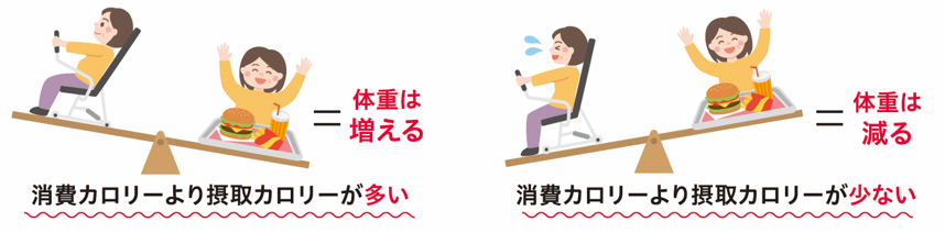 ダイエットは運動とセットで! 極端な食事制限は、健康に悪いだけでなく、筋肉を減らし基礎代謝を下げるので、リバウンドしやすい体になります。ダイエットは、摂取カロリーと消費カロリーのバランスが大事。