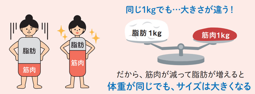 同じ1kgでも…大きさが違う！だから、筋肉が減って脂肪が増えると、体重が同じでもサイズは大きくなる。