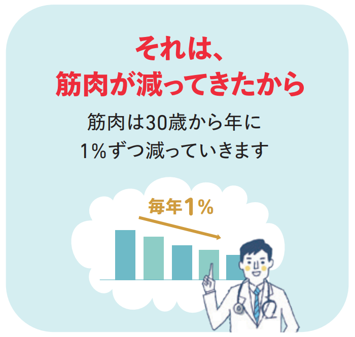 それは、筋肉が減ってきたから。筋肉は30歳から年に1％ずつ減っていきます。