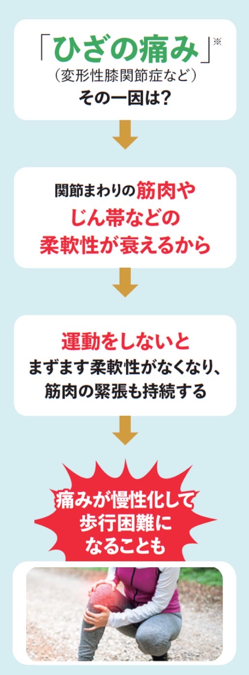 「ひざの痛み」（変形性膝関節症）その一因は、関節まわりの筋肉やじん帯などの柔軟性が衰えるから。運動をしないと、ますます柔軟性がなくなり、筋肉の緊張も持続する。結果、痛みが慢性化して歩行困難になることもあります。