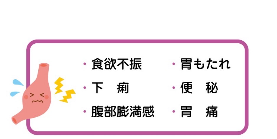 食欲不振・胃もたれ・下痢・便秘・腹部膨満感・胃痛